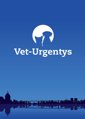 iv-veturgentys